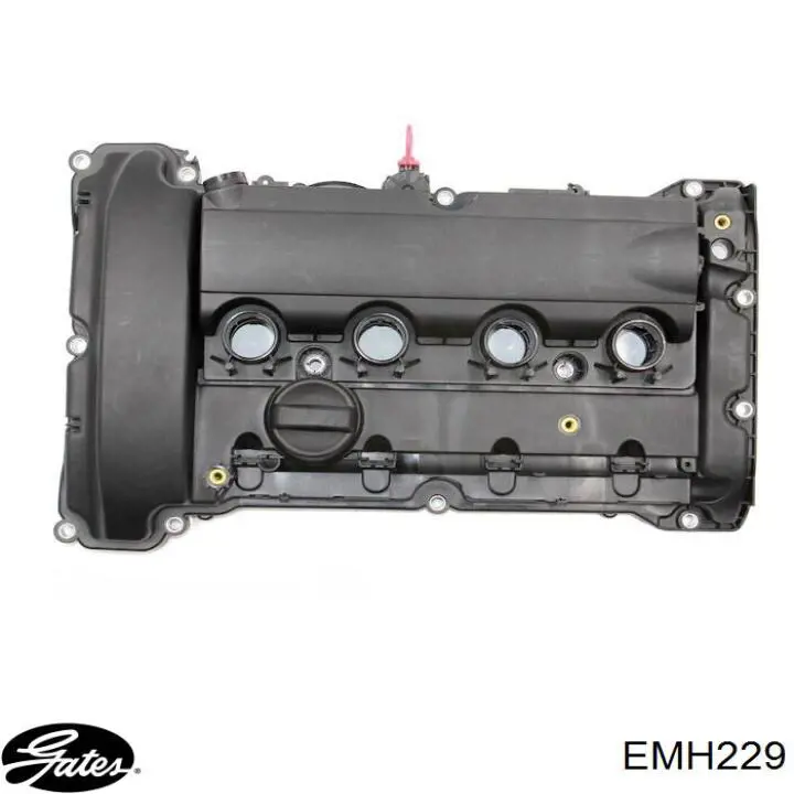  EMH229 Gates