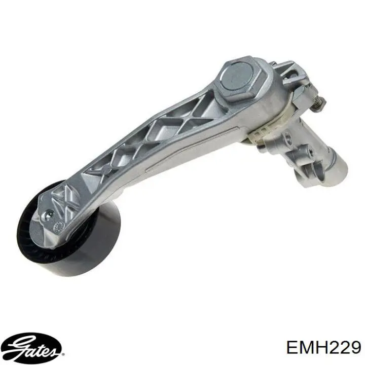  Gates EMH229