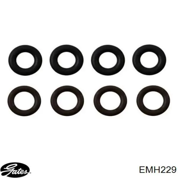 EMH229 Gates