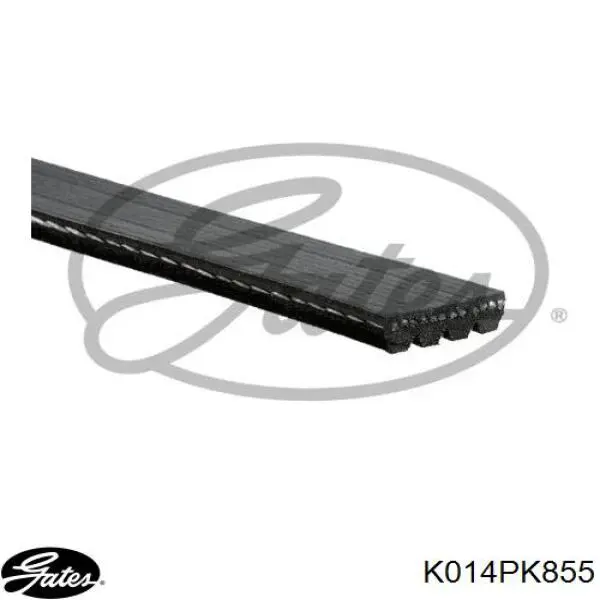 Ремень агрегатов приводной, комплект Gates K014PK855 цена, от 23.68 USD