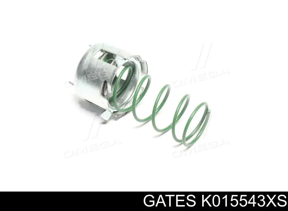 Купить BKCD0598 Bugatti Комплект ГРМ