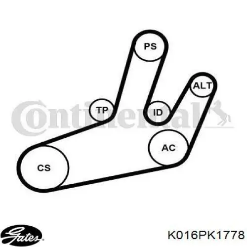 Ремень приводной 1192569T60 Nissan/Infiniti