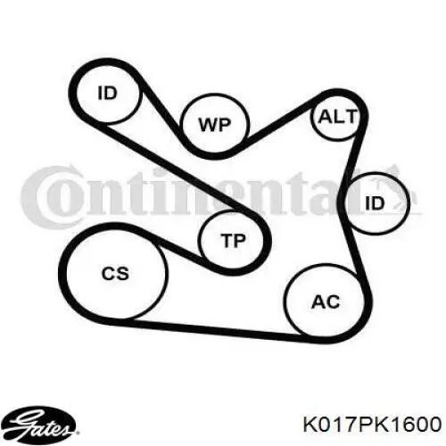 Ремень приводной 8660004975 Renault (RVI)