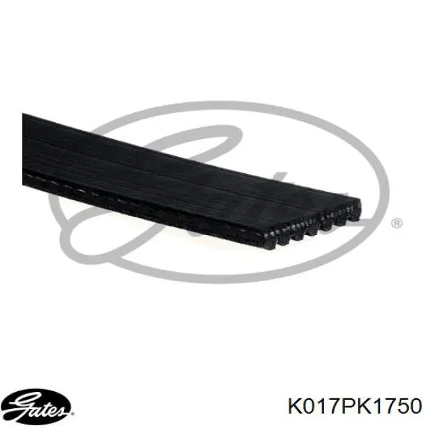 Ремень агрегатов приводной, комплект SKF VKMA63014 цена, от 99.37 USD