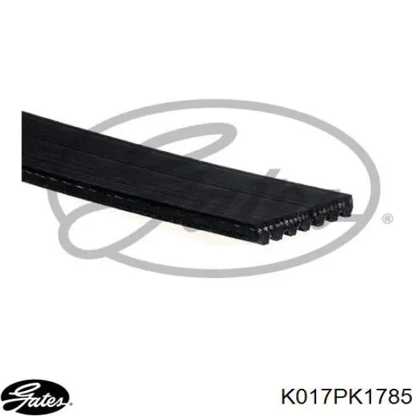 Ремень агрегатов приводной, комплект SNR KA85561 цена, от 70.53 USD