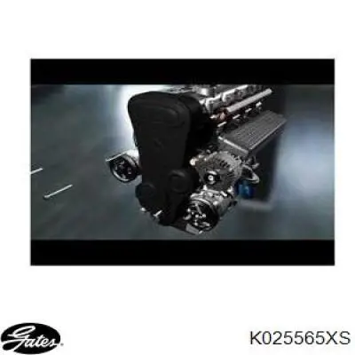 ГРМ ремни, комплект Gates K025565XS цена, от 98.21 USD