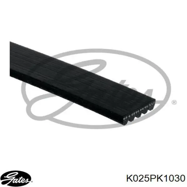 Ремень агрегатов приводной, комплект INA 529046010 цена, от 66.28 USD