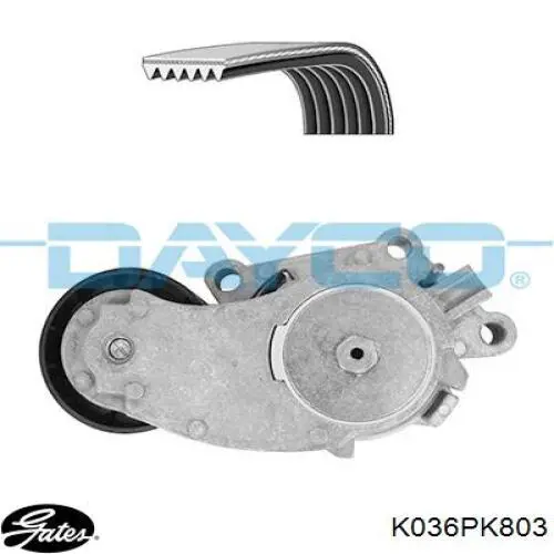 6PK800K2 Continental/Siemens Ремень приводной, комплект
