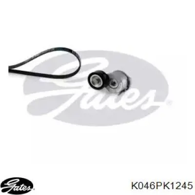 Correia dos conjuntos de transmissão, kit para Ford Kuga (CBS)