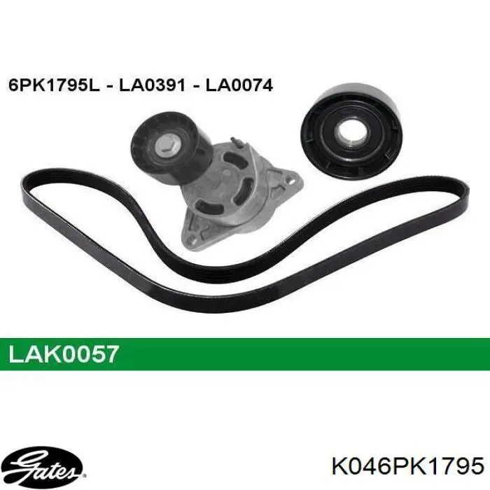 Ремень агрегатов приводной, комплект INA 529043310 цена, от 77.16 USD