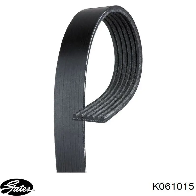 Купить K061015 Gates Ремень генератора