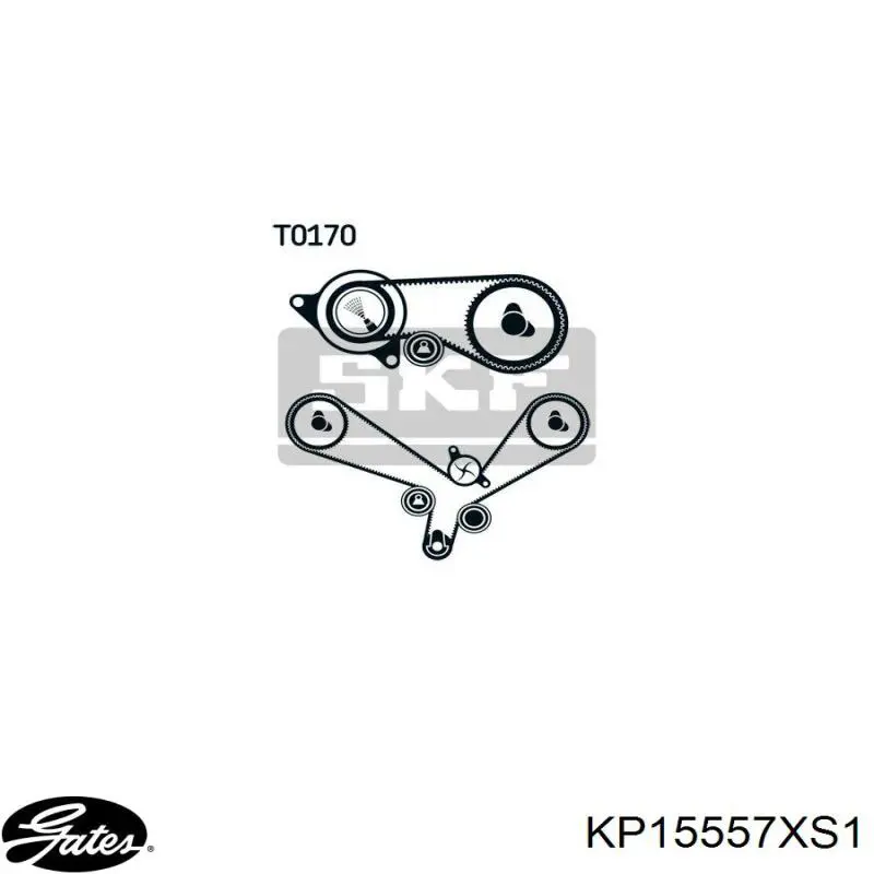 Купить KD107 Dolz Комплект ГРМ