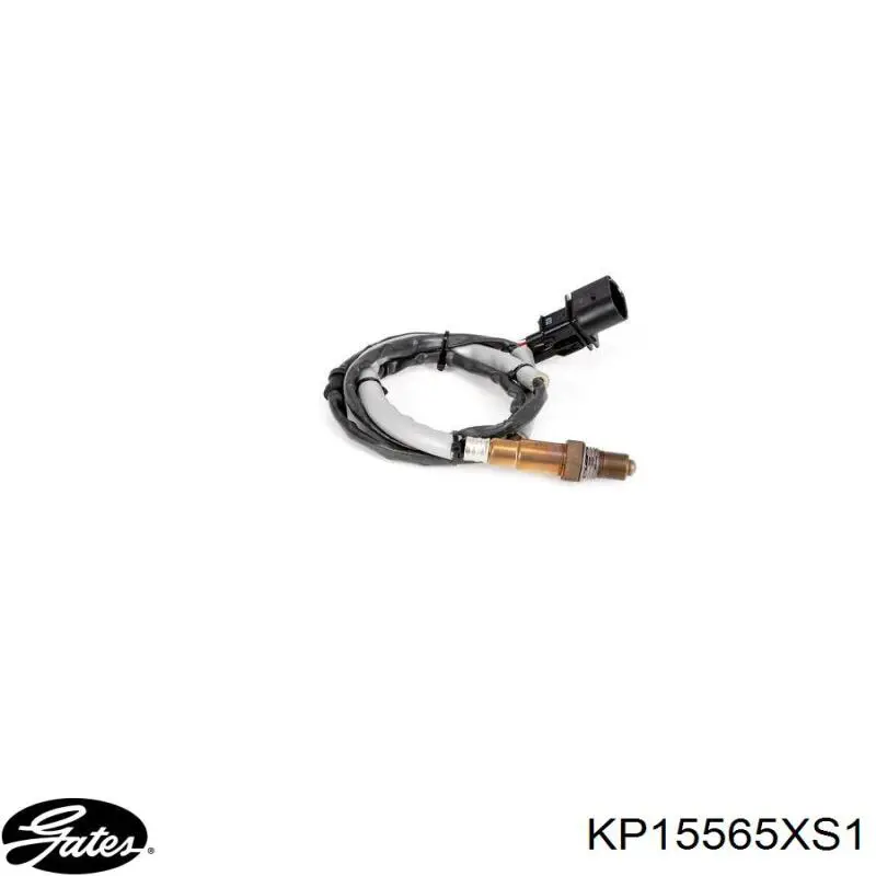Ремень ГРМ, комплект Gates KP15565XS1