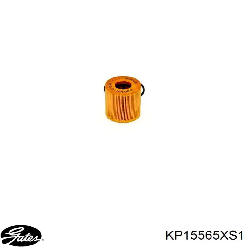 KP15565XS1 Gates Комплект ремня ГРМ