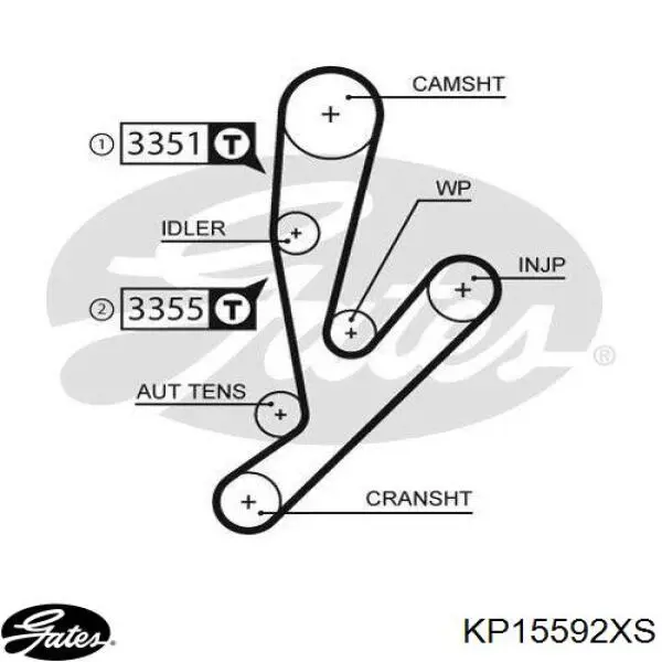 Купить KD112 Dolz Комплект ГРМ