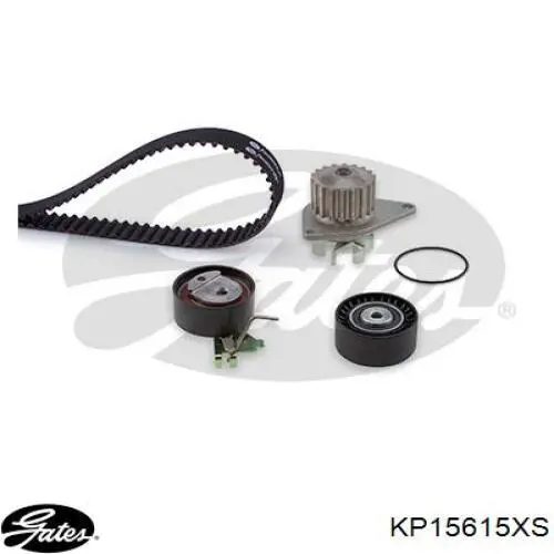 Купить 3900032 Sasic Комплект ГРМ