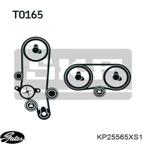 KD101 Dolz Комплект ремня ГРМ