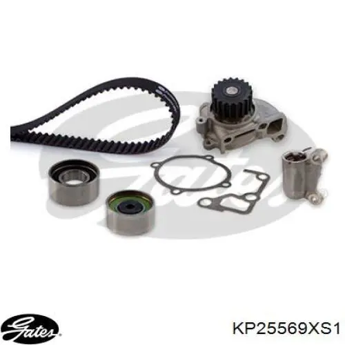 ГРМ ремни, комплект Gates KP25569XS1 цена, от 181.50 USD