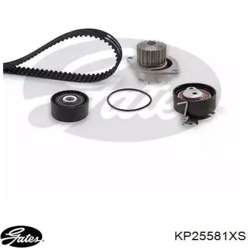 ГРМ ремни, комплект Dolz KD049 цена, от 87.00 USD