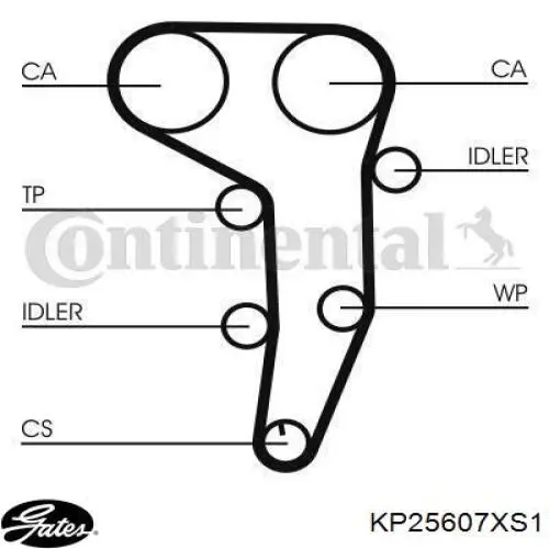 ГРМ ремни, комплект Bugatti KBU10380F цена, от 168.28 USD
