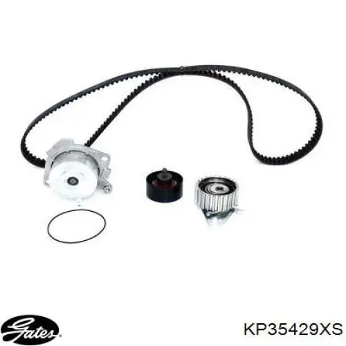 Купить CT877WP1 Continental/Siemens Комплект ГРМ