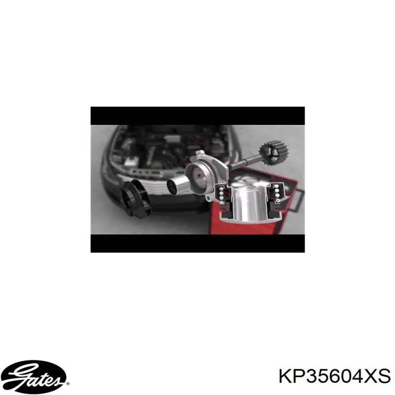 ГРМ ремни, комплект Dayco KTBWP6141 цена, от 143.09 USD