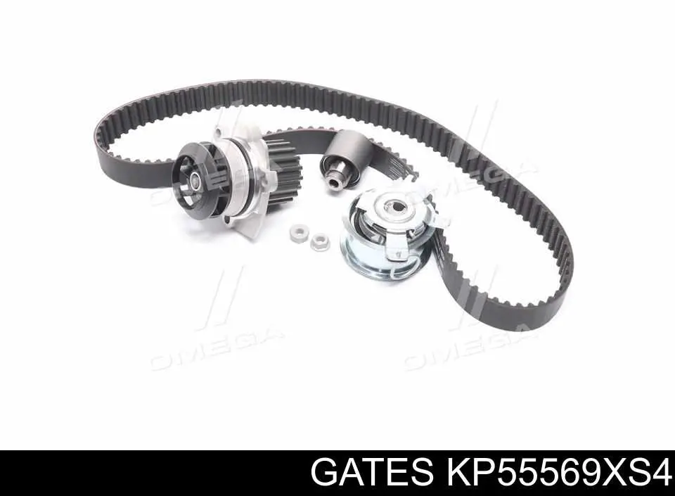 KP55569XS-4 Gates correia do mecanismo de distribuição de gás, kit