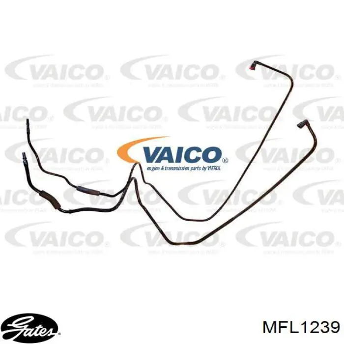 Трубка топливная, комплект Ford 1753390 цена, от 31.36 USD