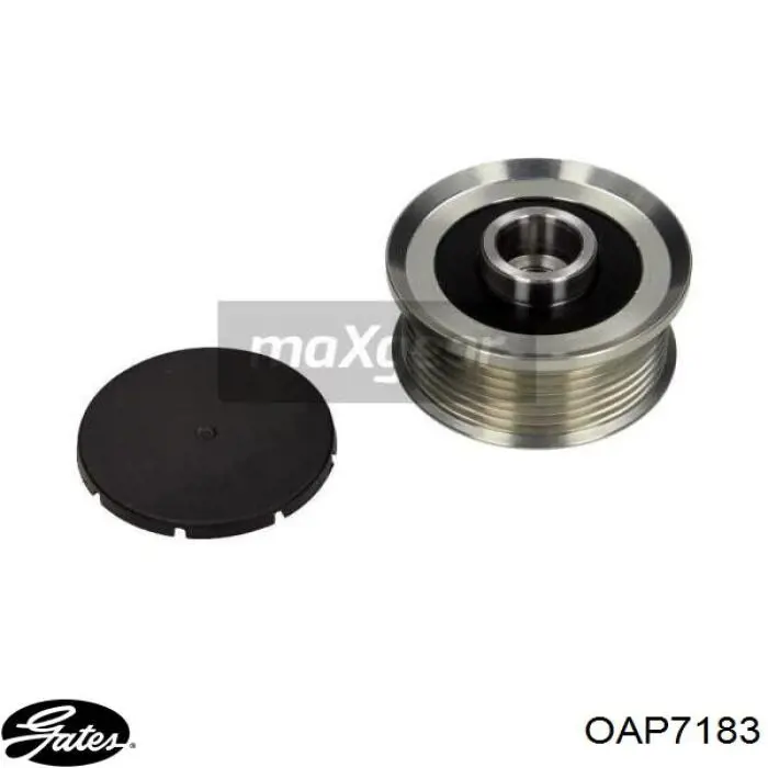 Инерционный шкив Magneti Marelli AMA0087 цена, от 30.41 USD