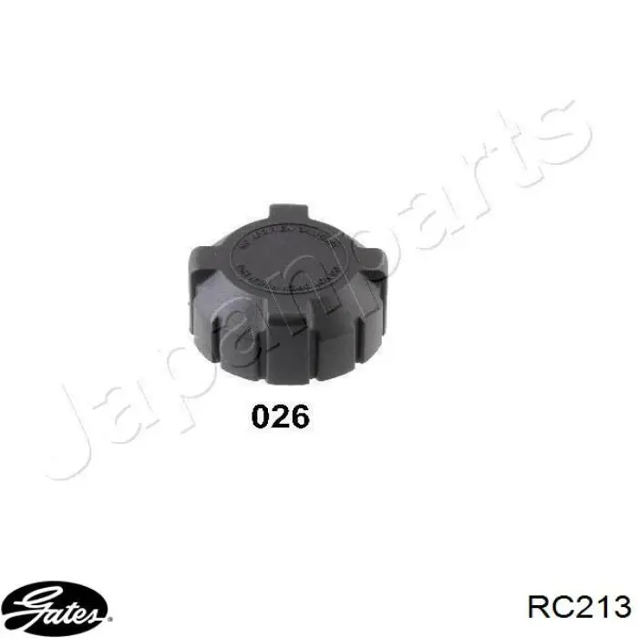RC213 Gates