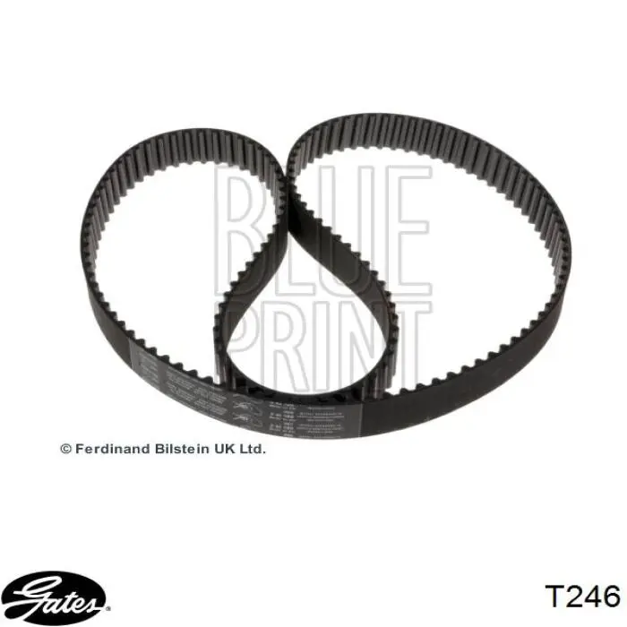 Зубчатый ремень Gates T246 цена, от 41.43 USD