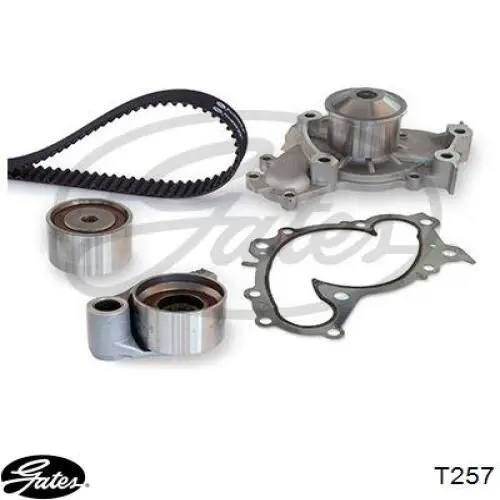 TB257 Enginetech Ремень двигателя