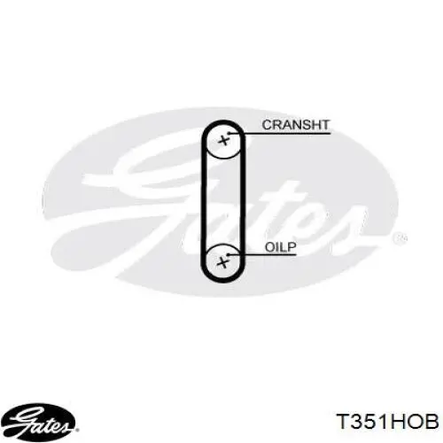 Correa Dentada Bomba De Aceite T351HOB Gates