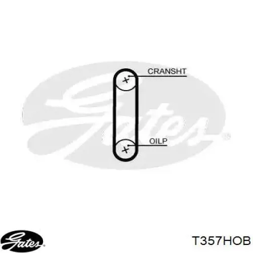 Ремень масляного насоса на Ford C-Max CB7