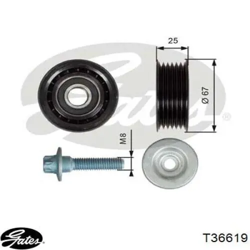 Купить T36619 Gates Паразитный ролик