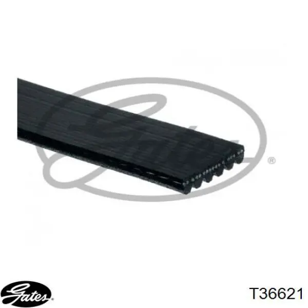Паразитный ролик приводного ремня Gates T36621 цена, от 35.95 USD