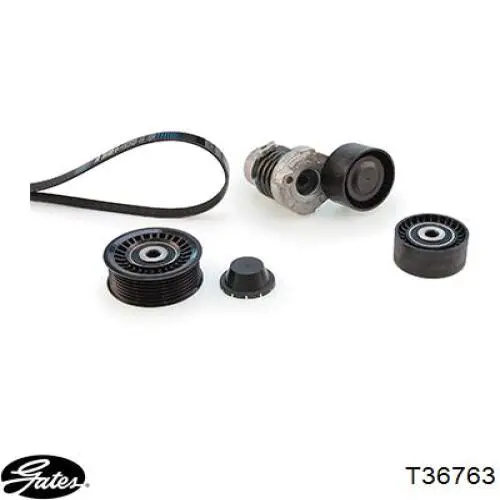 Купить T0700 Hutchinson Паразитный ролик