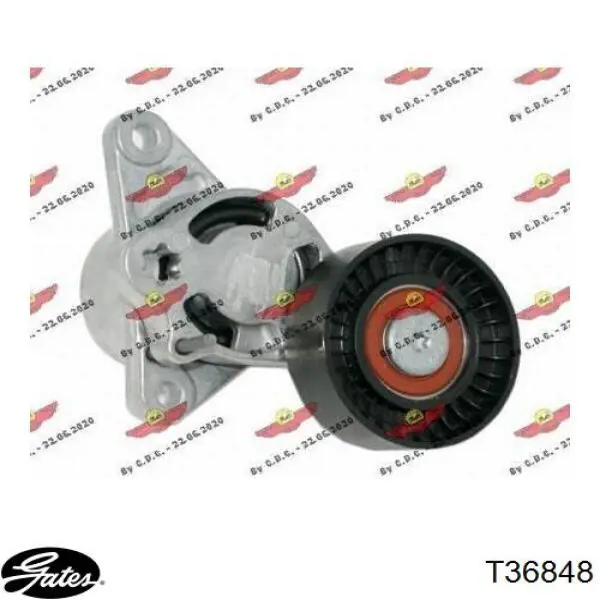 Паразитный ролик T36848 Gates