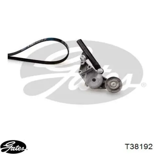 Роликовий модуль натяжителя ремня Gates T38192 цена, от 72.30 USD