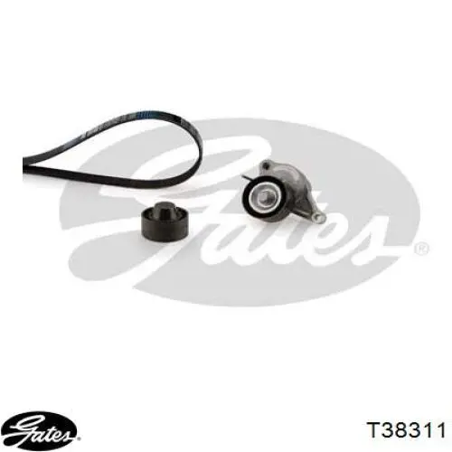 Роликовий модуль натяжителя ремня Fast FT44621 цена, от 40.79 USD