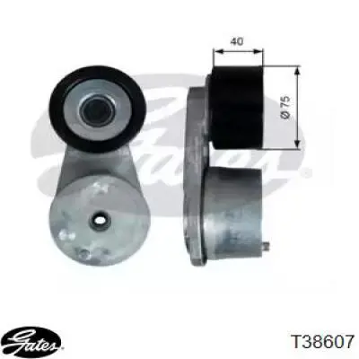 Купить T38607 Gates Натяжитель приводного ремня