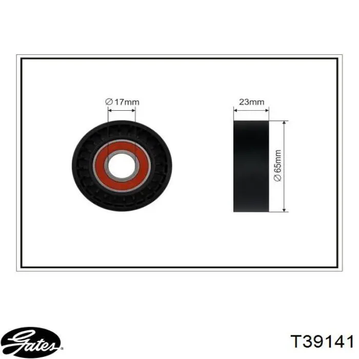 T39141 Gates