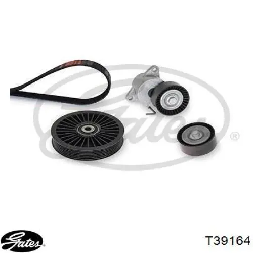 Купить T39164 Gates Натяжной ролик