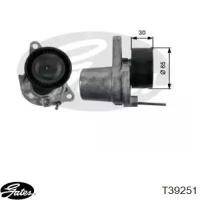 Натяжитель приводного ремня 117202957R Renault (RVI)