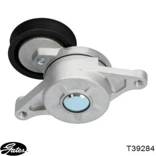 Натяжитель приводного ремня T39284 Gates