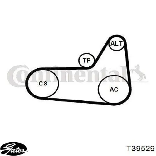 Купить T39529 Gates Натяжитель приводного ремня