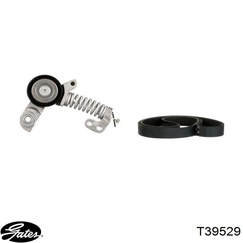 Роликовий модуль натяжителя ремня Gates T39529 цена, от 50.37 USD