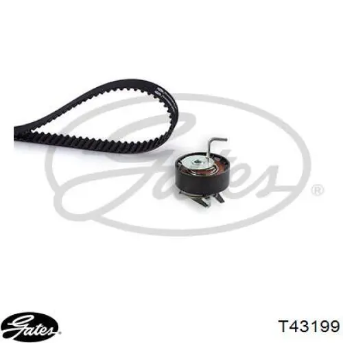 Купить T43199 Gates Ролик натяжителя ремня ТНВД