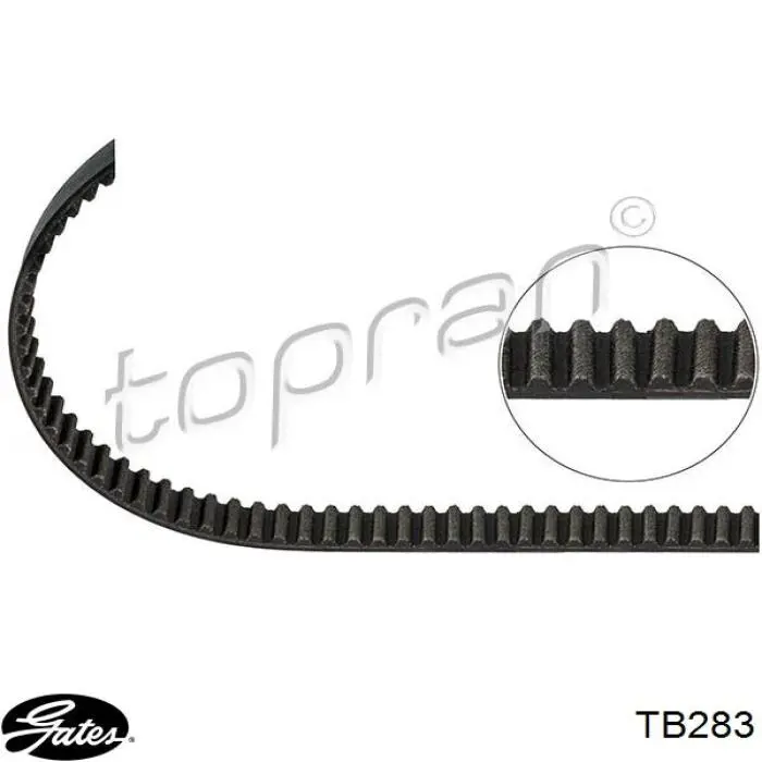 TB283 Gates Ремень двигателя