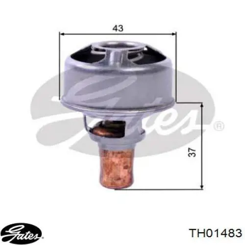 Купить 7700722762 Renault (RVI) Автомобильный термостат